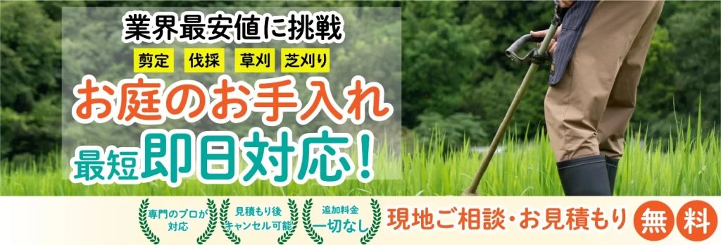 お庭番衆さんから頂いた画像